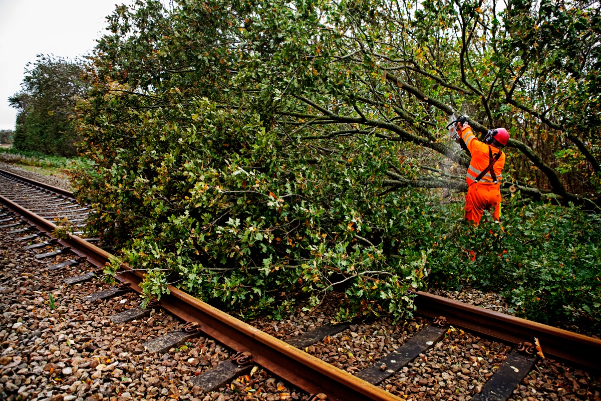 Risikotræ, Banedanmark